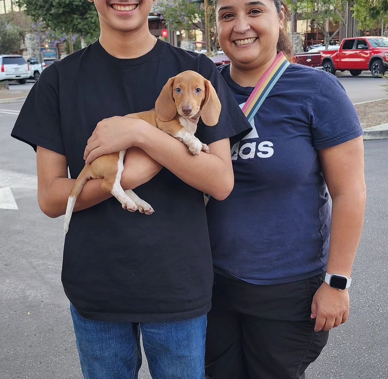 David Chen with their Prestige Doxies Dachshund